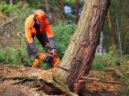 Mulching Services in Melissa, TX